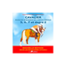 Lavauzelle - Rider's Study Guide for Federal Exams Levels 5, 6, 7 and Grade 2 | - Ohlala