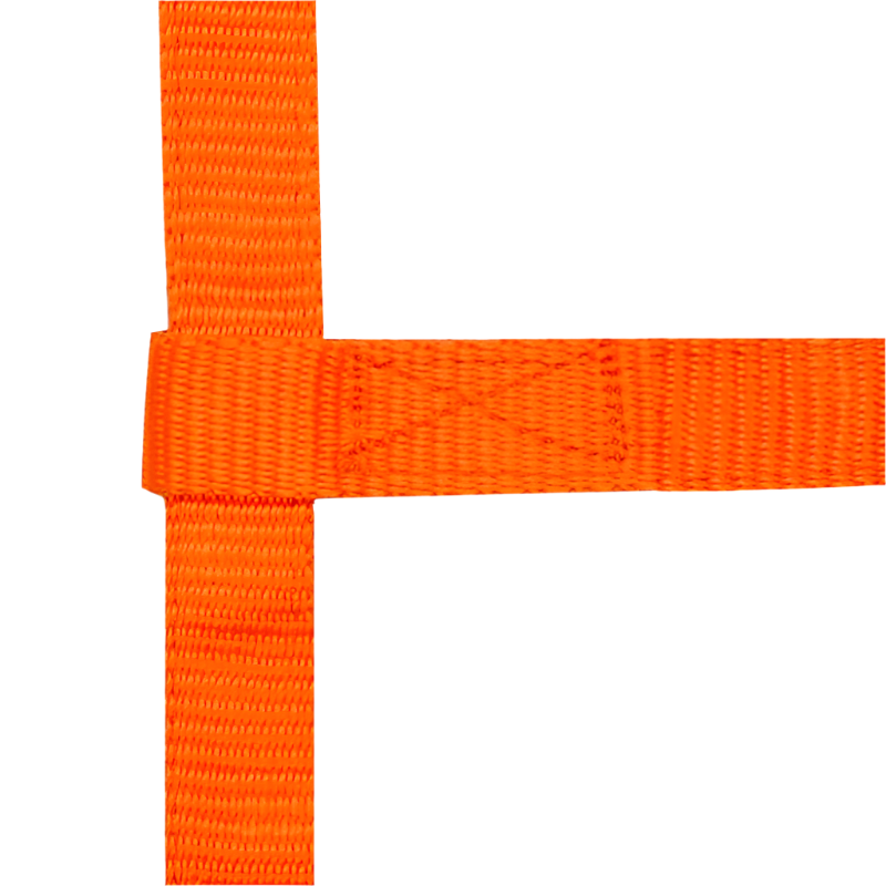 Norton - Licol réglable mini orange | - Ohlala