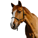 Norton - Diams black nylon ethological halter | - Ohlala