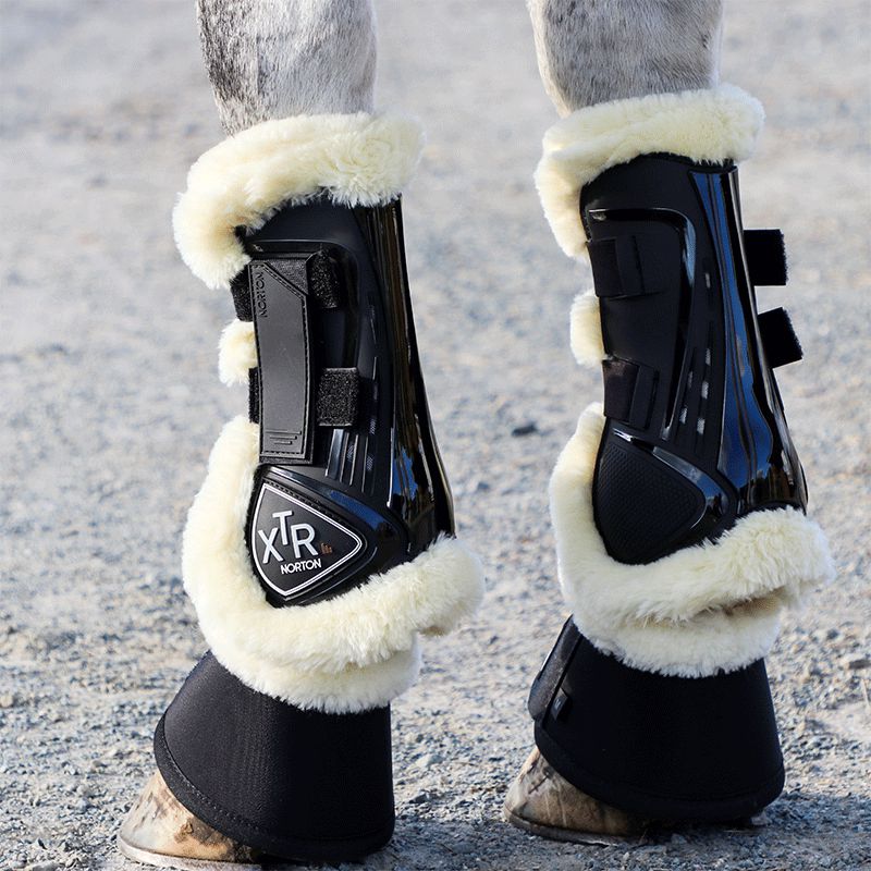 Norton - Gambiere cavallo XTR montone nero | - Ohlala