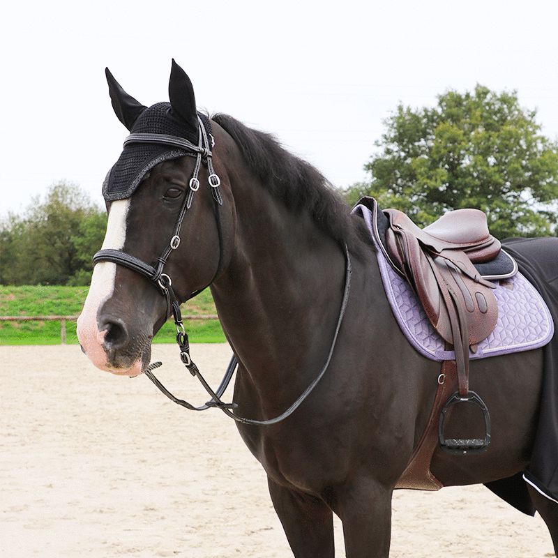 Kentucky Horsewear - Sudadero de salto Velvet Jumping Violeta | - Ohlala