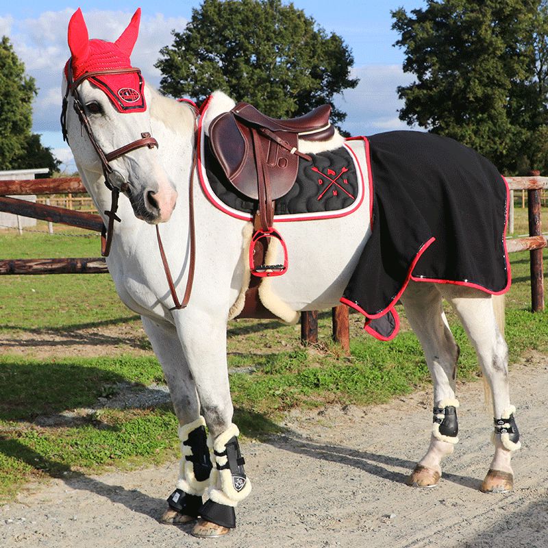 Norton - Gambiere cavallo XTR montone nero | - Ohlala