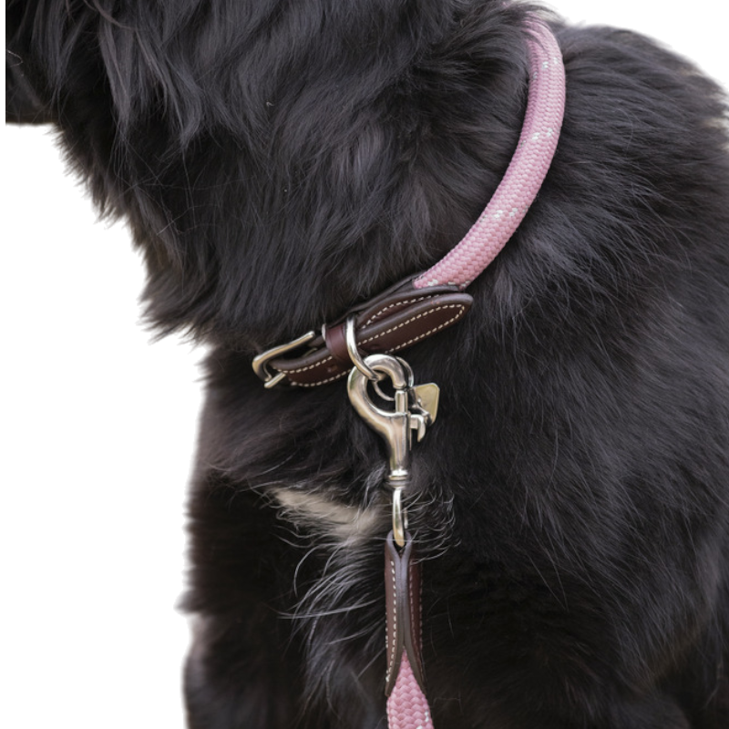 Pénélope - Hundehalsband Billie rosa/ lurex | - Ohlala