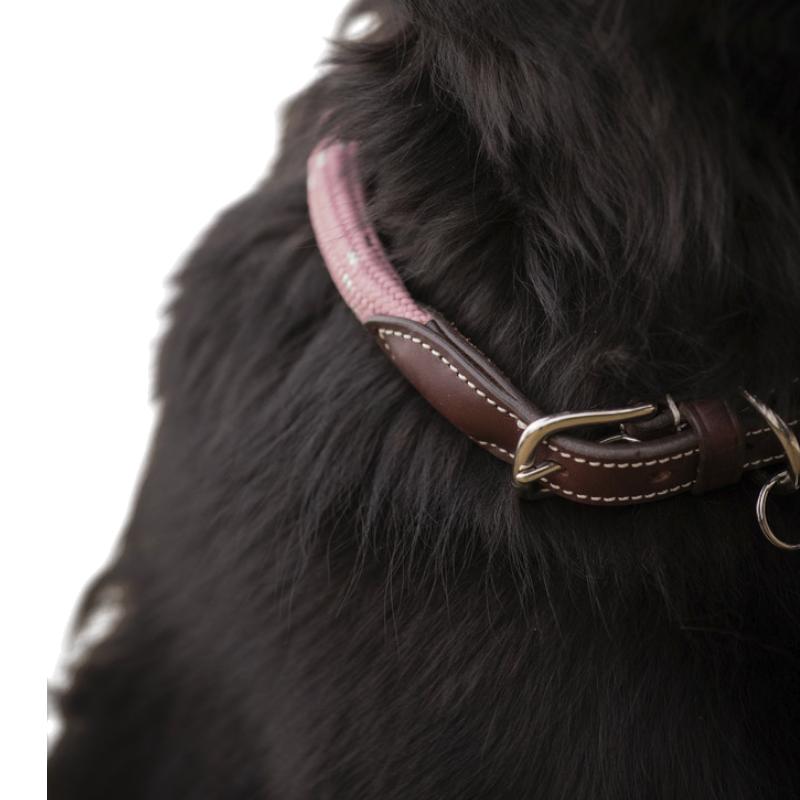 Pénélope - Hundehalsband Billie rosa/ lurex | - Ohlala