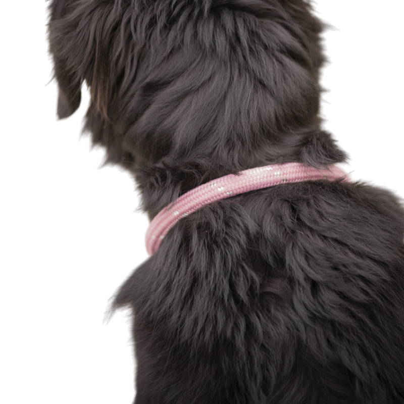 Pénélope - Hundehalsband Billie rosa/ lurex | - Ohlala