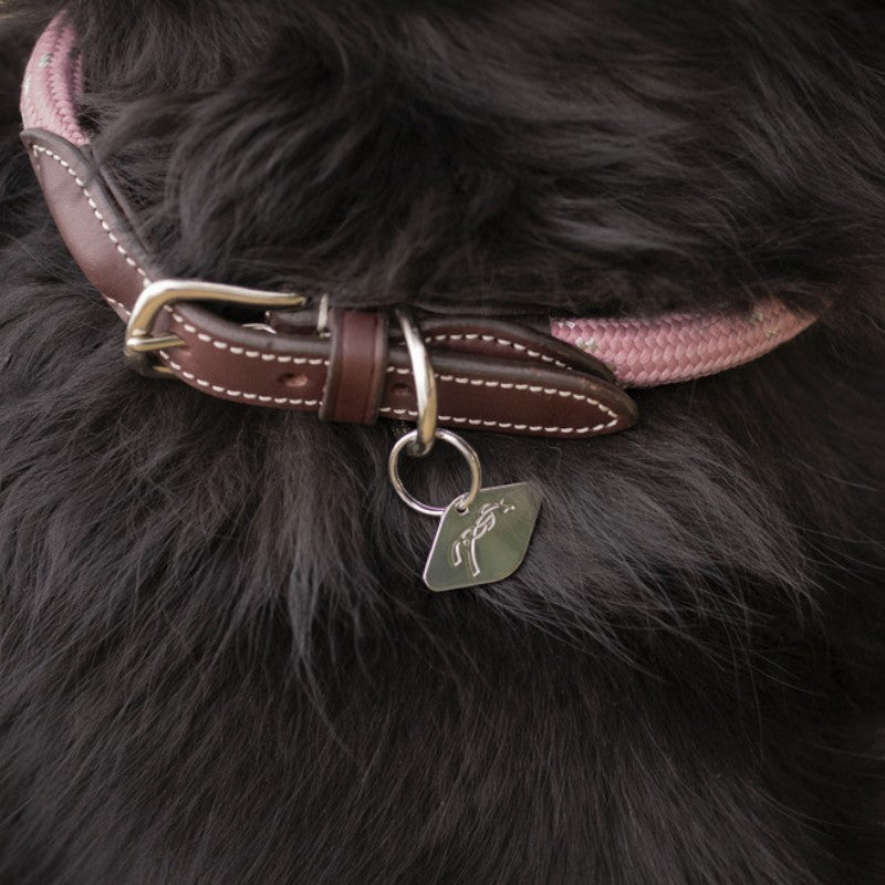 Pénélope - Hundehalsband Billie rosa/ lurex | - Ohlala