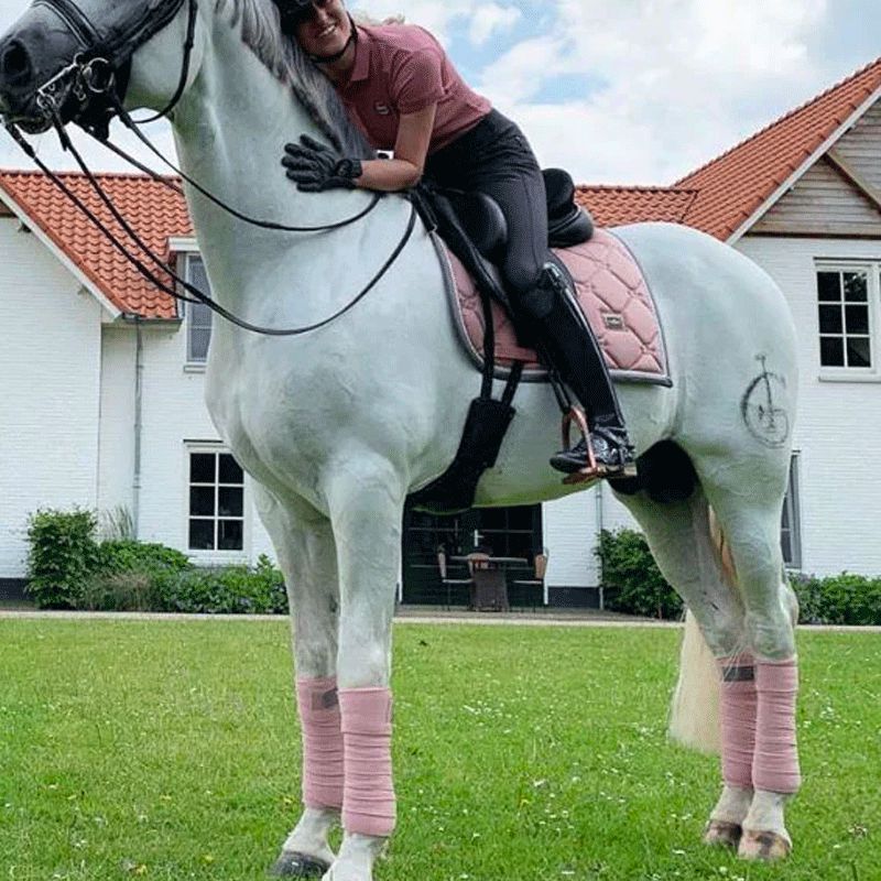 Equestrian Stockholm - Bandaże polo Pink (x4) | - Ohlala