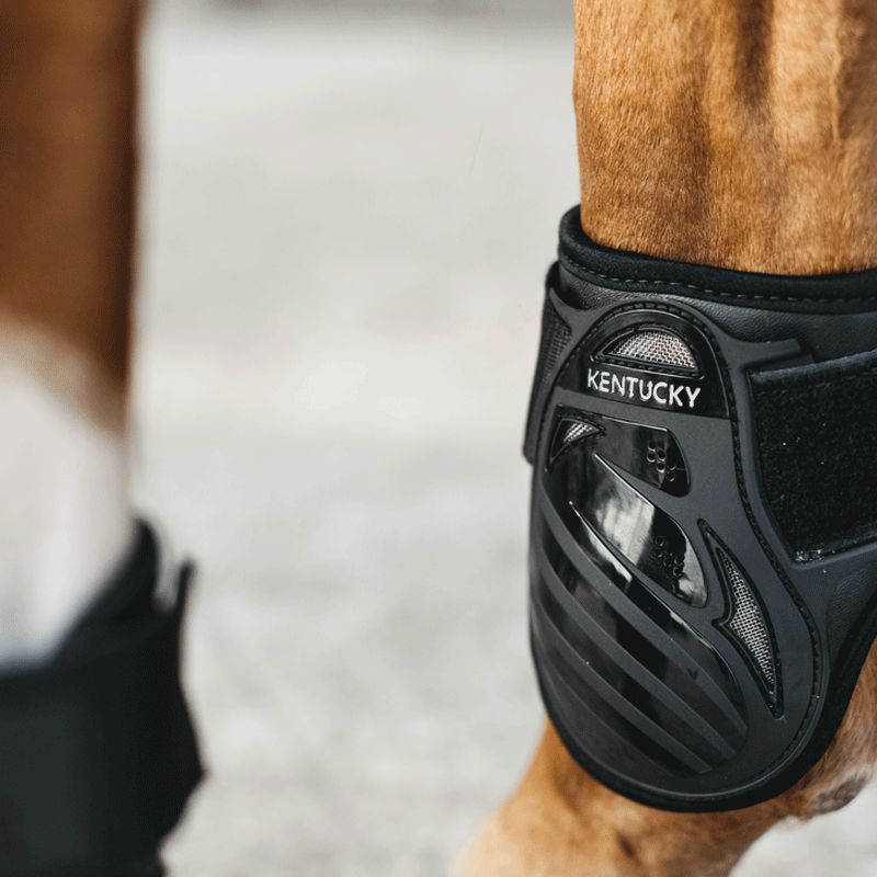 Kentucky Horsewear - Fesselschutz Jungpferde schwarz | - Ohlala