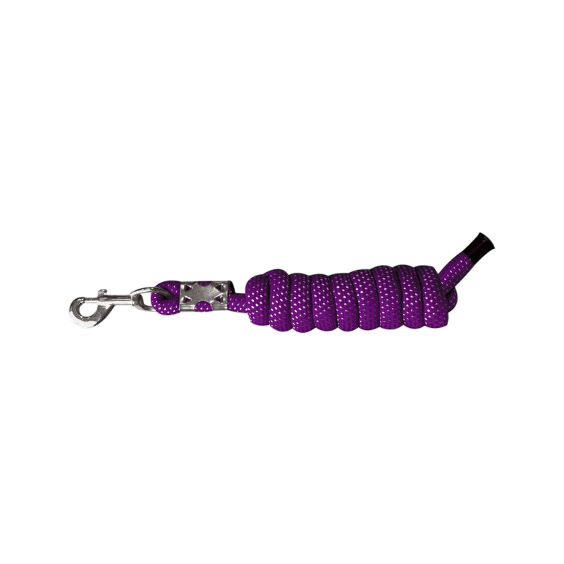 Norton - Reflective lead rope violet | - Ohlala
