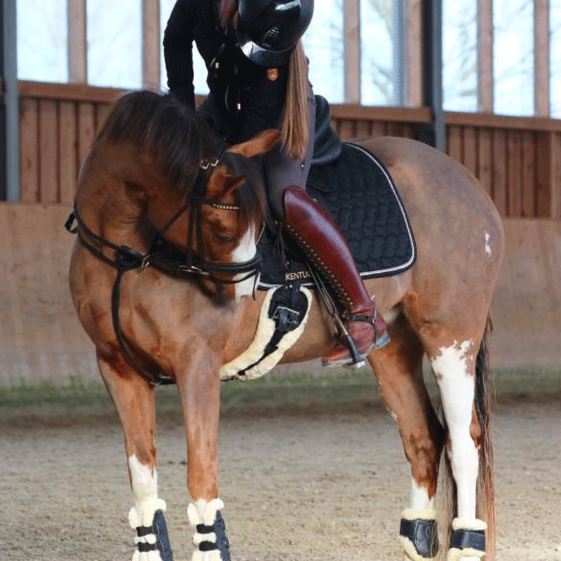 Kentucky Horsewear - Krótki popręg z owczej skóry | - Ohlala