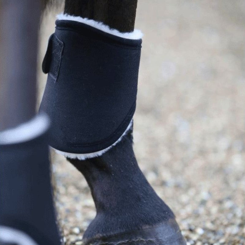 Kentucky Horsewear - Solimbra Black Fetlock Boots | - Ohlala