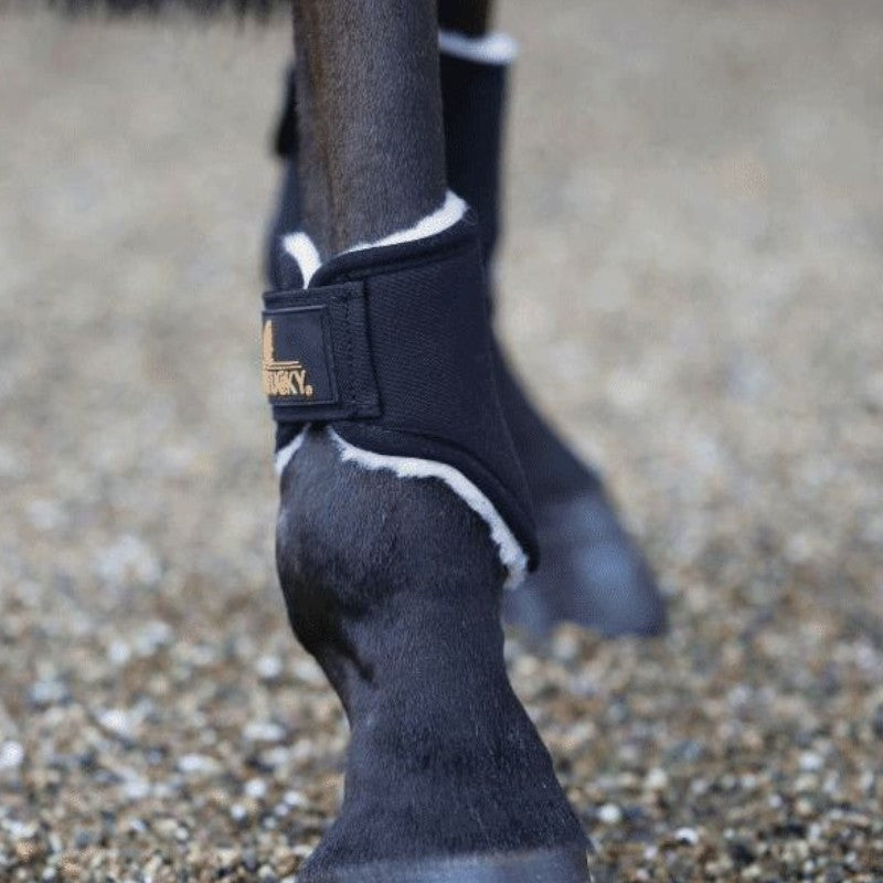 Kentucky Horsewear - Protector de menudillo Solimbra negro | - Ohlala