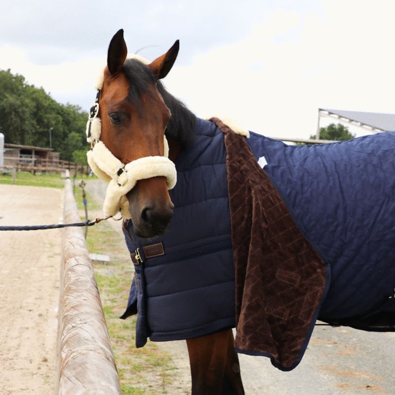 Kentucky Horsewear - Classic Under-Rug 100g Navy | - Ohlala