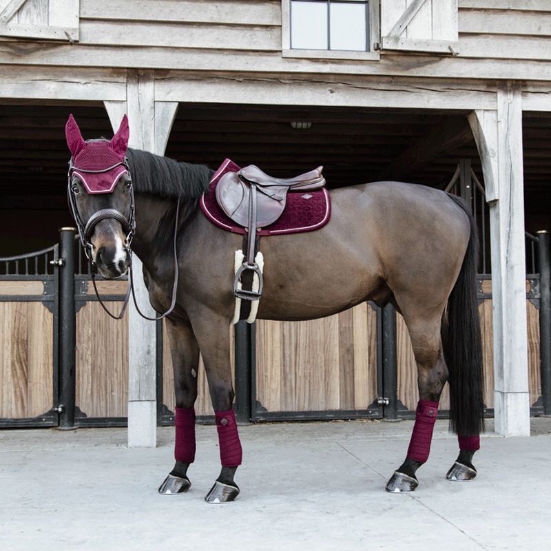 Kentucky Horsewear - Velvet ジャンピング用サドルパッド ボルドー | - Ohlala