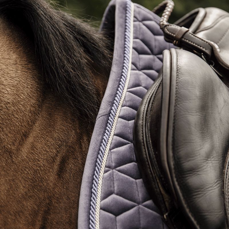 Kentucky Horsewear - Sudadero de salto Velvet Jumping Violeta | - Ohlala