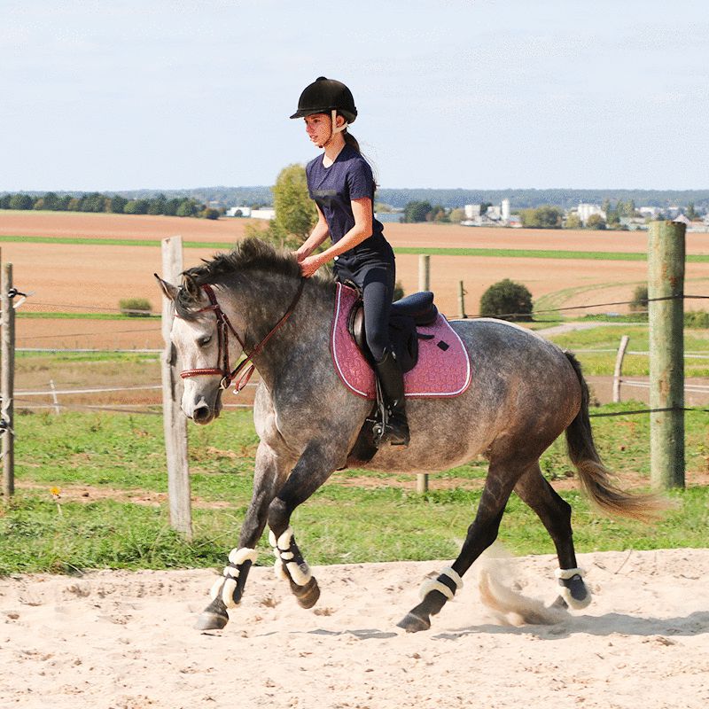 Norton - Polainas caballo XTR con botones borreguillo azul marino | - Ohlala