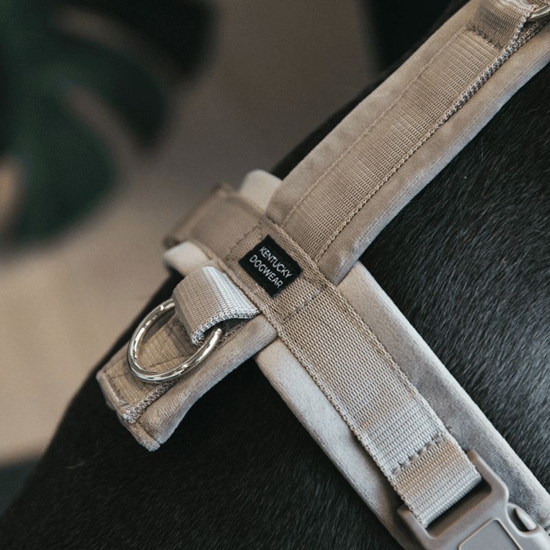 Kentucky Dogwear - Active dog harness velvet beige | - Ohlala