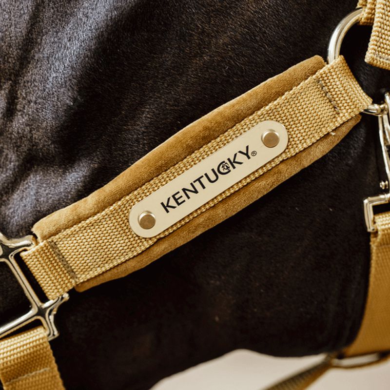 Kentucky Horsewear - Cabezada Velvet mostaza | - Ohlala