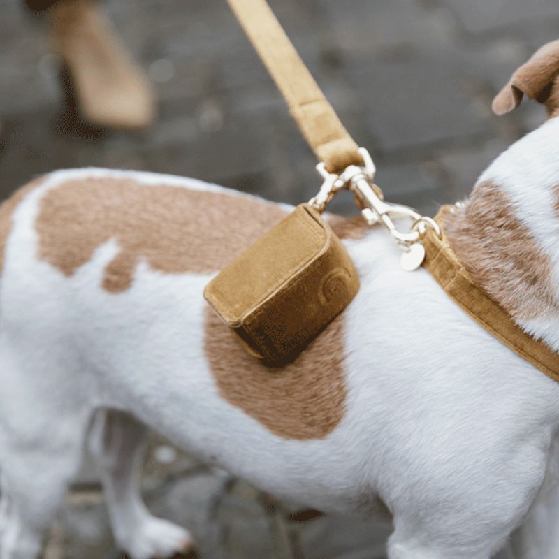 Kentucky Dogwear - Quadratische Kotbeutel-Tasche Velvet Senf | - Ohlala
