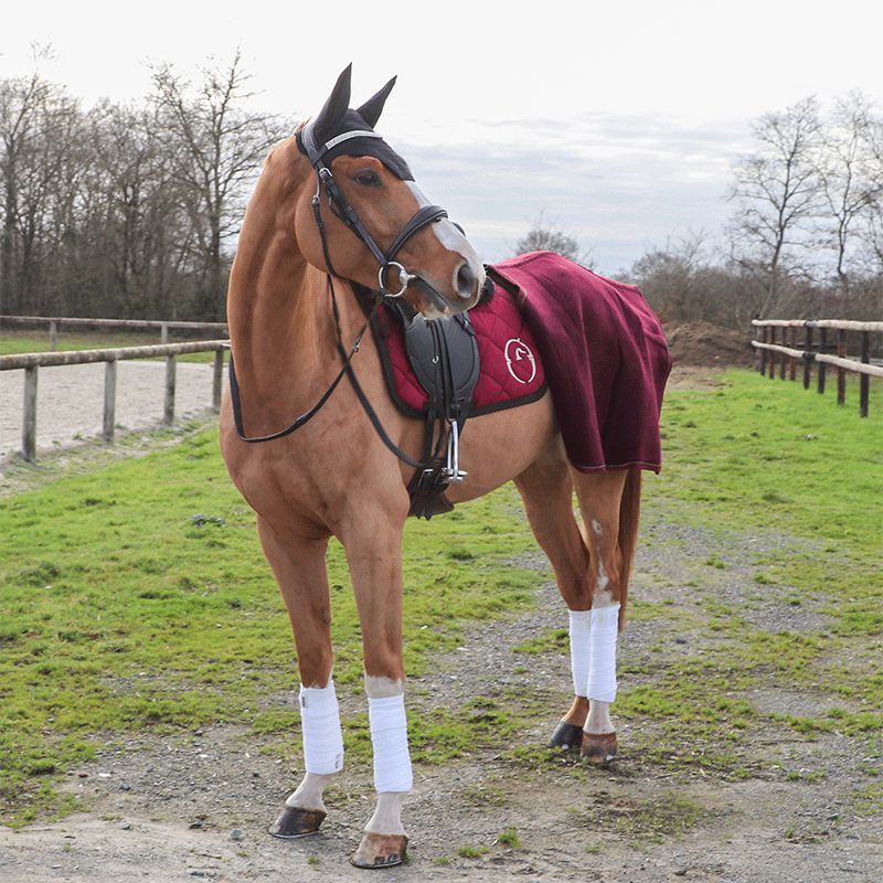 Kentucky Horsewear - Bonnet Wellington negro | - Ohlala