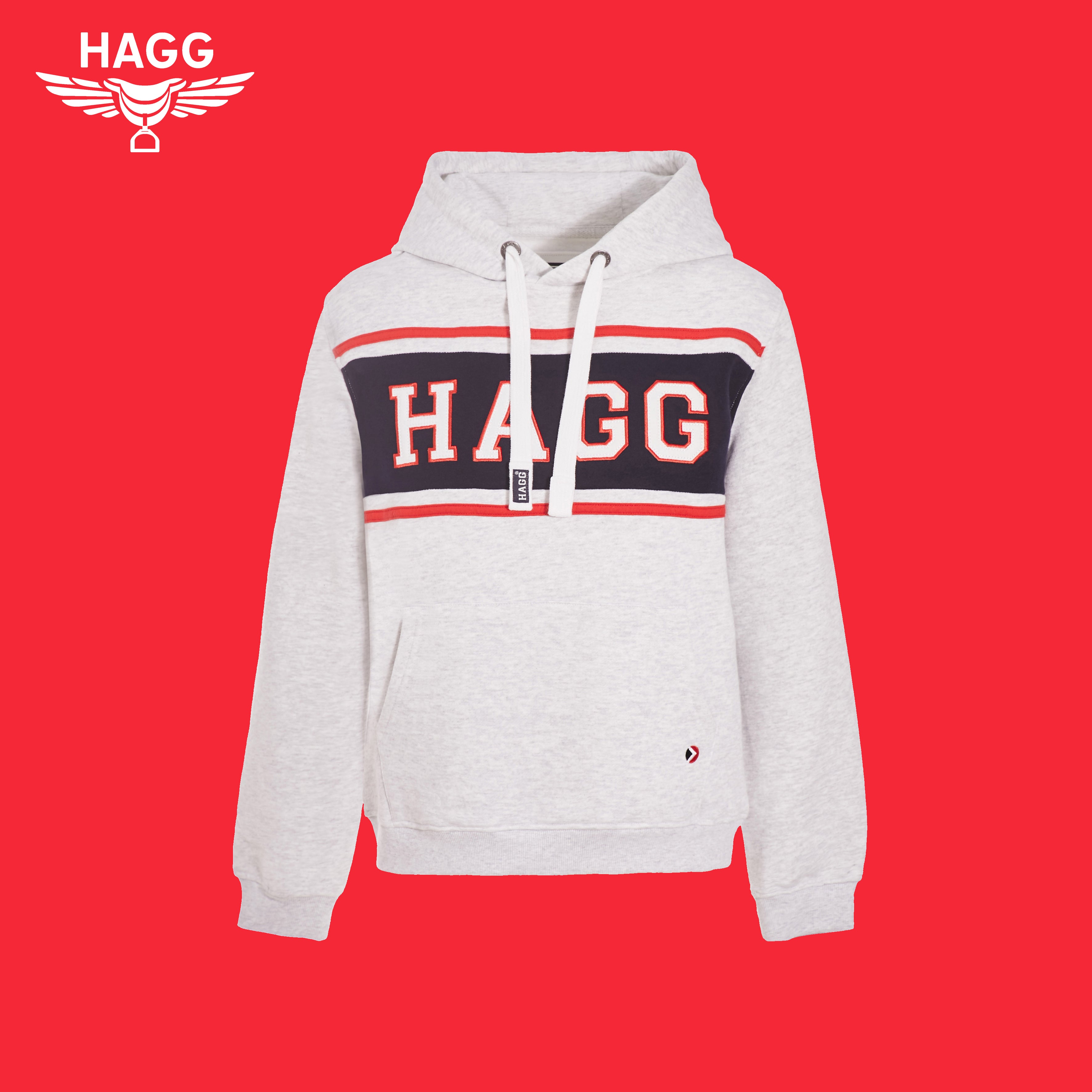 Hagg - Sudadera con capucha gris | - Ohlala