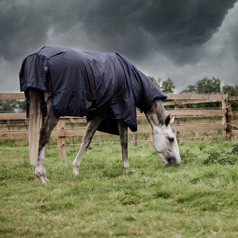 Kentucky Horsewear - All weather hurricane turnout rug navy 150g | - Ohlala