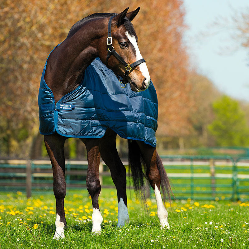 Horseware - Wkład wewnętrzny granatowy 100g | - Ohlala