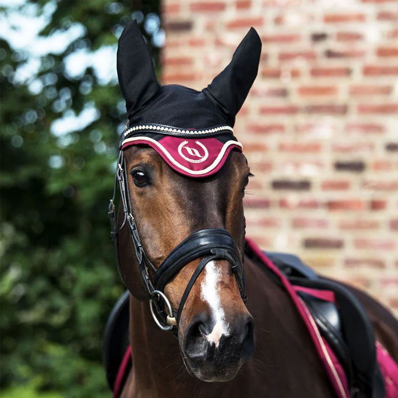 Back On Track - Bonnet per cavallo Night Collection nero/rosso | - Ohlala