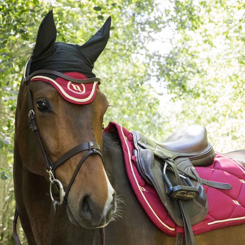 Back On Track - Cuffia per cavallo Night Collection nero/rosso | - Ohlala