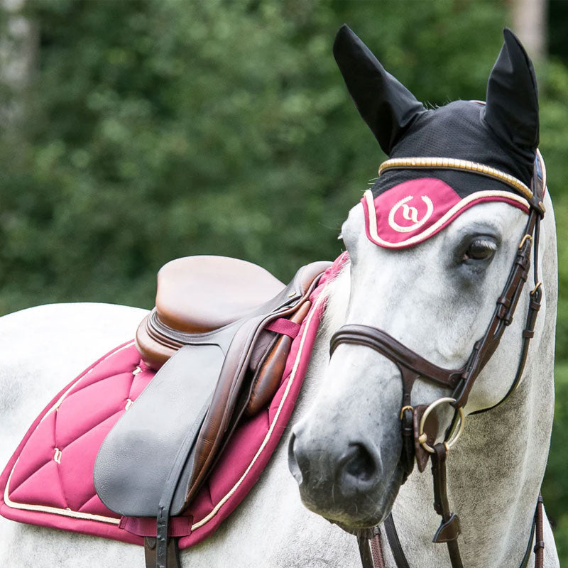 Back On Track - Cuffia per cavallo Night Collection nero/rosso | - Ohlala