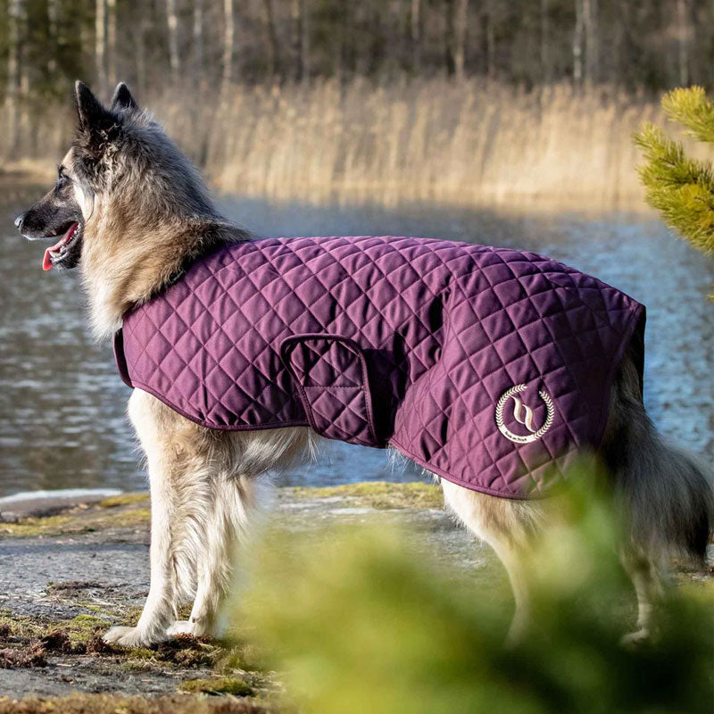 Back On Track - Dog coat Night bordeaux | - Ohlala