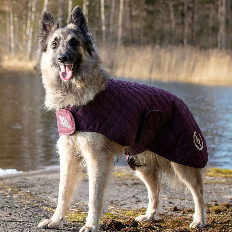 Back On Track - Dog coat Night bordeaux | - Ohlala