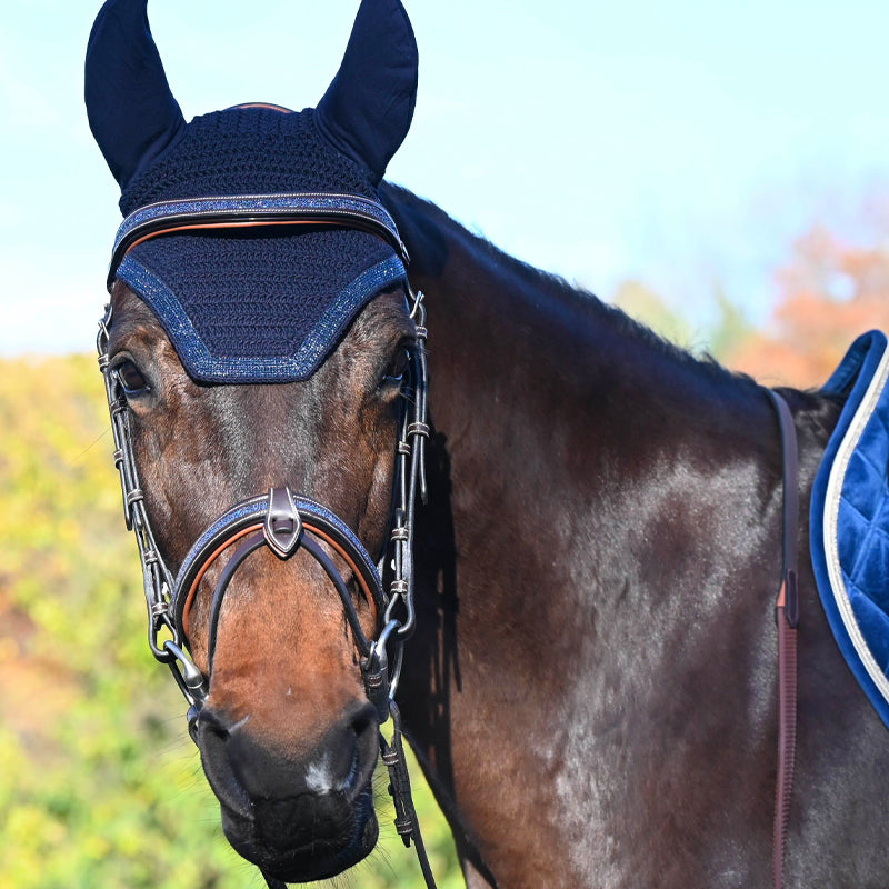 Jump'In - Bridon Carat collection One Prenium havane/ bleu | - Ohlala