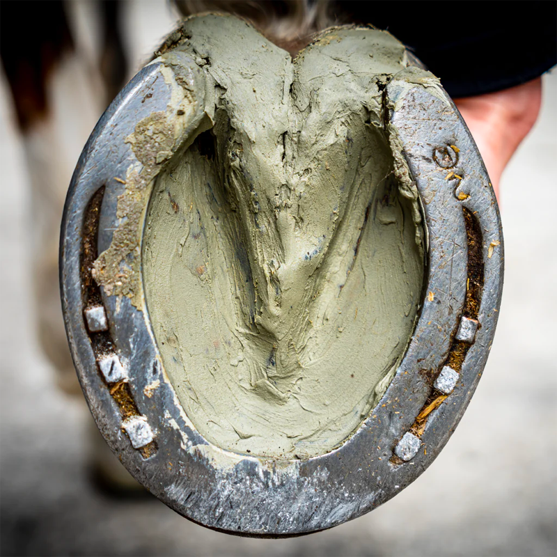 Cura Naturale - Poultice for Sore Hooves | - Ohlala