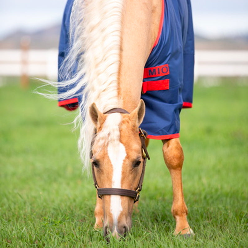 Horseware - Coperta da esterno impermeabile Mio T/O Lite blu/rosso 0g | - Ohlala