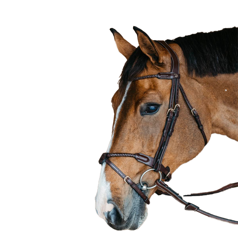 Dyon - Bridle with Plaited Noseband and Removable Lip Strap in Brown Leather | - Ohlala
