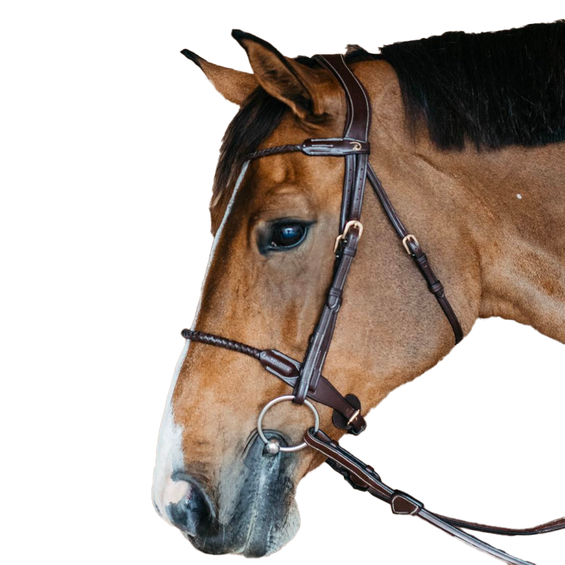 Dyon - Brown leather plaited noseband bridle with removable chin strap | - Ohlala