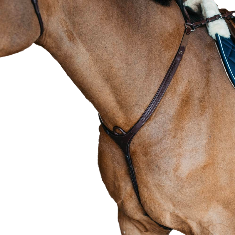 Dyon - Breastplate braided bridge New English brown leather | - Ohlala