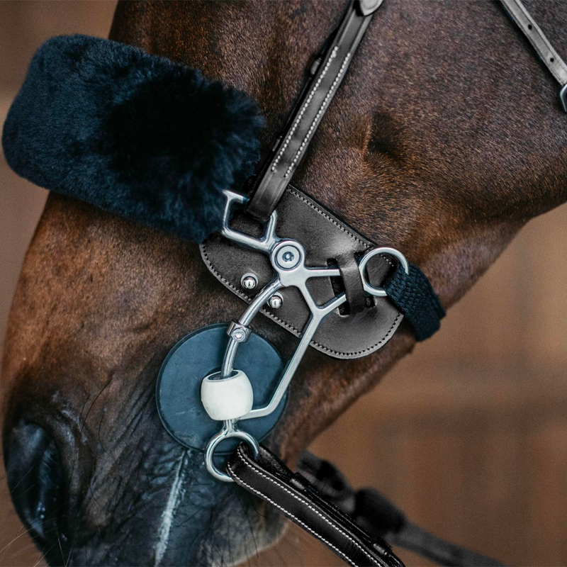 Dyon - Hackamore bescherming zwart leer | - Ohlala
