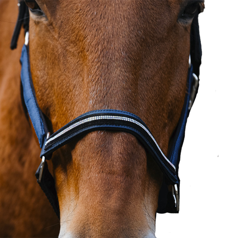 Equithème - Domino nylon halter royal blue | - Ohlala