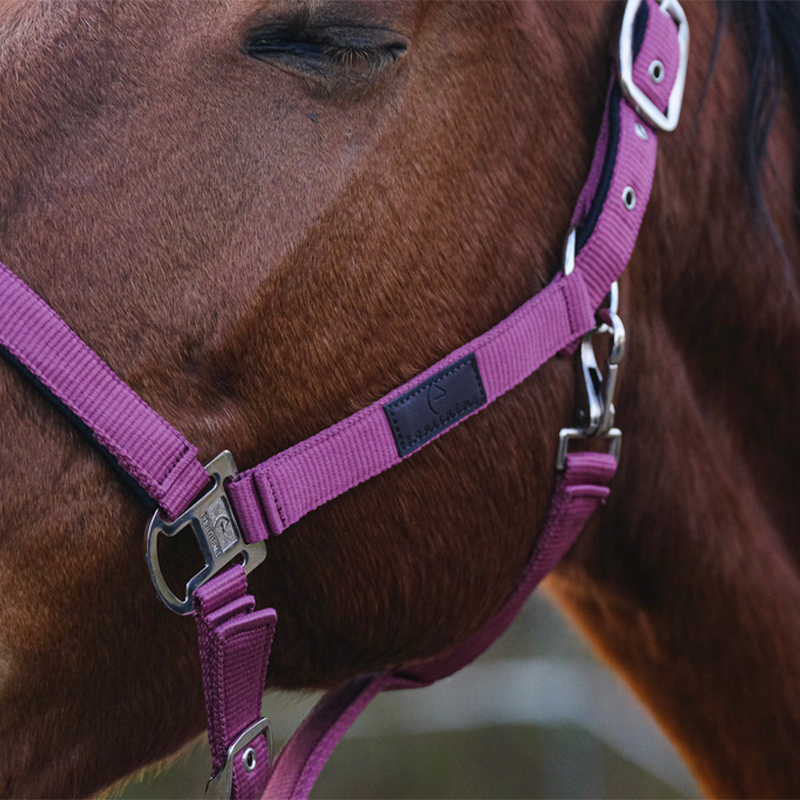 Equithème - Cavezza in nylon Spring rosa | - Ohlala
