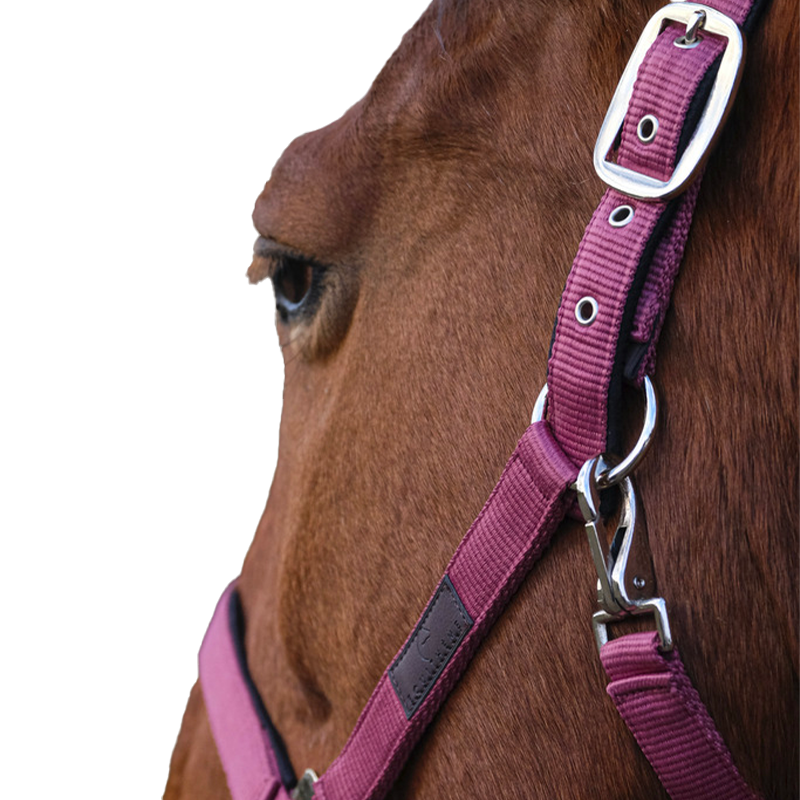 Equithème - Capezza in nylon Spring rosa | - Ohlala