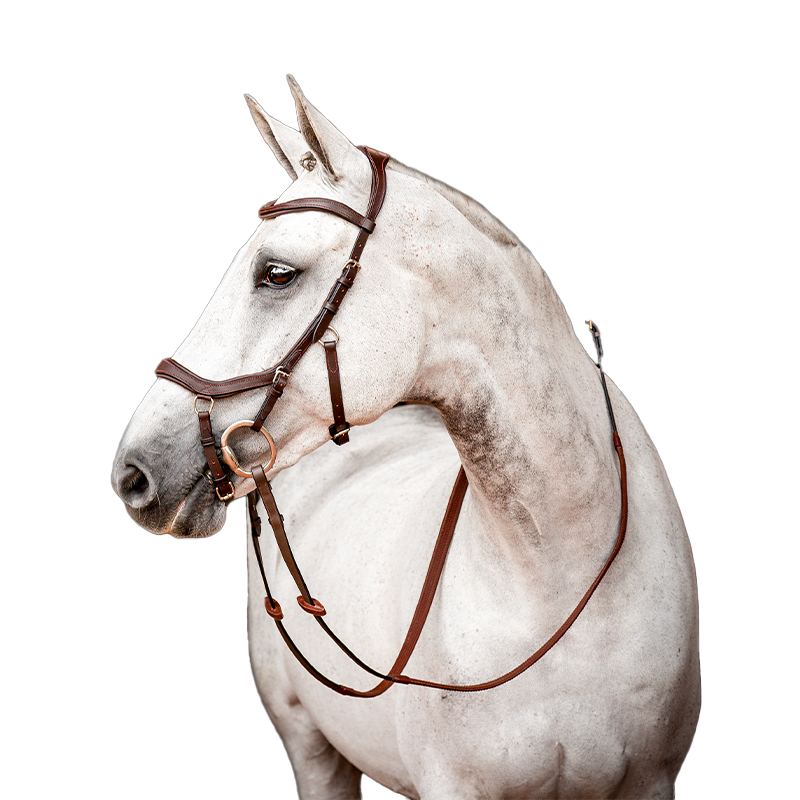 Horseware - Ogłowie Rambo Micklem 2 Competition z wodzami havane | - Ohlala