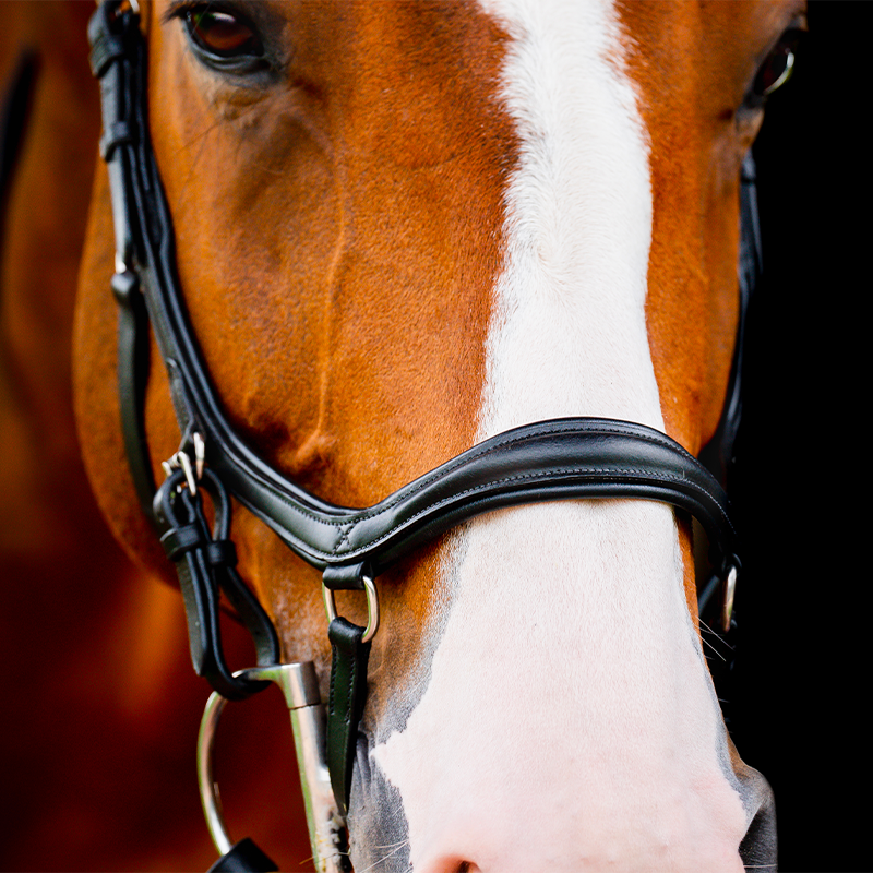Horseware - Rambo Micklem 2 Diamante Competition hoofdstel zwart | - Ohlala