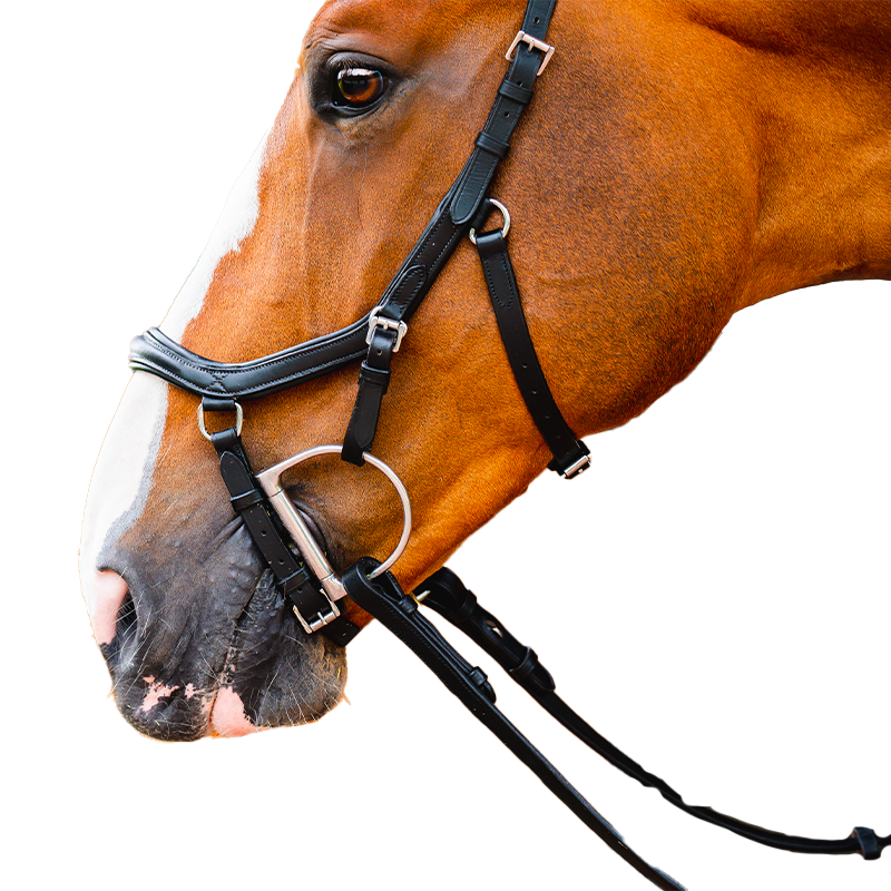 Horseware - Rambo Micklem 2 Deluxe Competition ブライドル レーン付き ブラック | - Ohlala