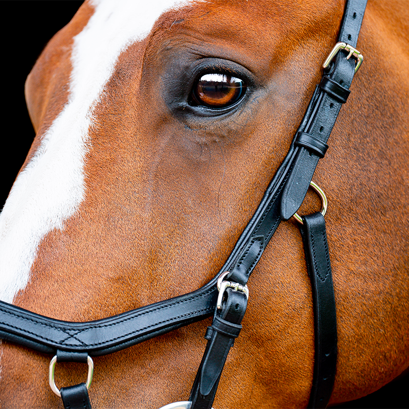 Horseware - Rambo Micklem 2 デラックス コンペティション ブライドル レイン付き ブラック | - Ohlala