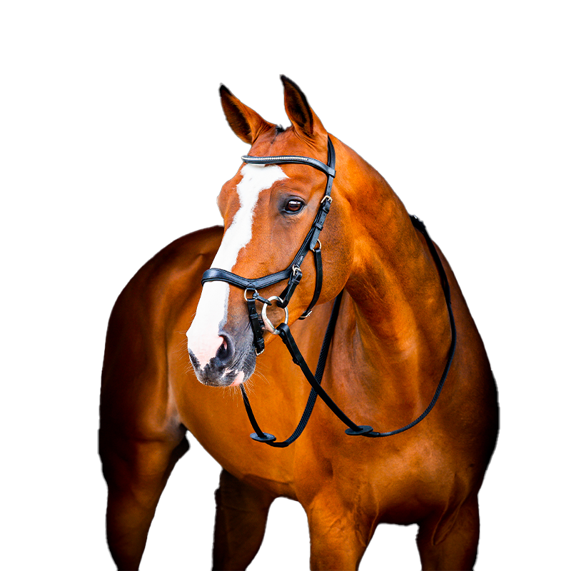 Horseware - Rambo Micklem 2 Diamante Competition hoofdstel zwart | - Ohlala