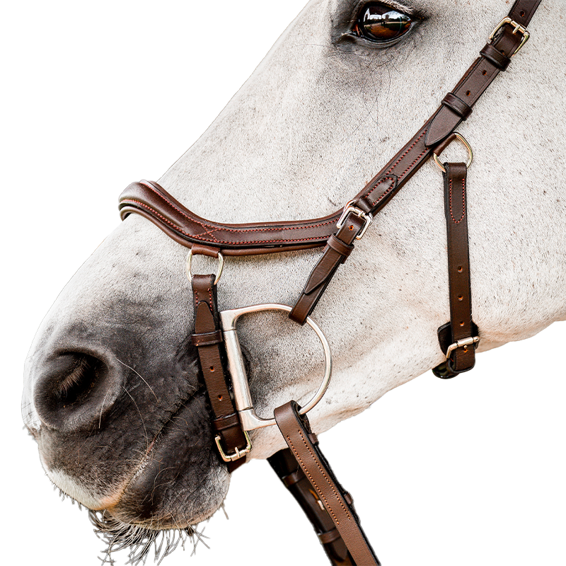 Horseware - Ogłowie Rambo Micklem 2 Competition z wodzami w kolorze havana | - Ohlala