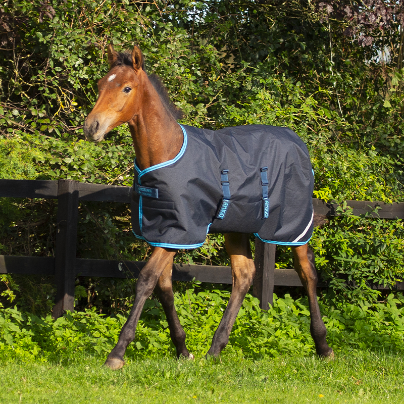 Horseware - Derka zewnętrzna Amigo Foal elektryczny niebieski/ granatowy 200g | - Ohlala