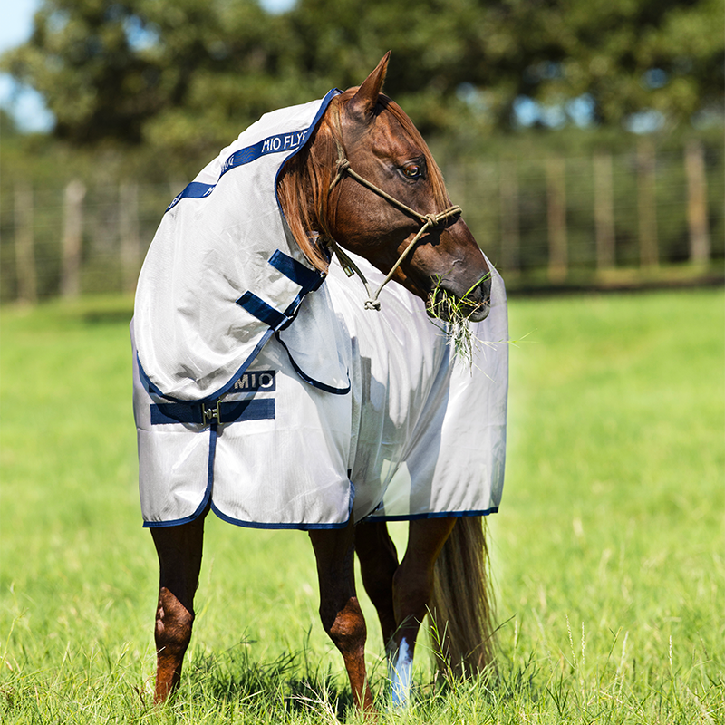 Horseware - Fliegendecke Mio Fly Rug bronze/ marine | - Ohlala